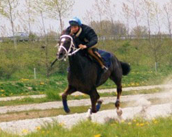 Renntraining