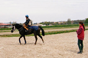 Renntraining