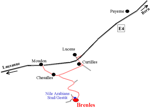 Situationsplan Brenles