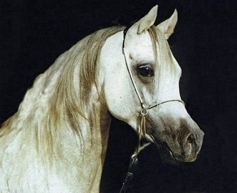 Copyright. All rights reserved!